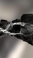 An Artistic Abstract Black and White Textured Surface that Features Veins Throughout It video