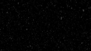 falling snowflakes loop animation motion graphics winter cold video