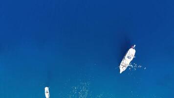 Aerial View of White Yachts with Tourists on the Open Sea, Space for Text video