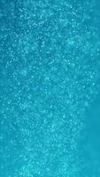 Abstract white particles looking like snow in the wind. Media. Tiny snowflakes background. Vertical . video