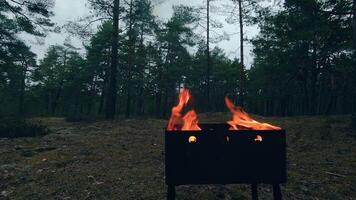 The Flame is Burning in the Grill. Lighting Fire in the Brazier. Kindling Coals in the Mangal. Preparing for a Barbecue Grill Cooking. Static Shot, Super Slow Motion video
