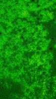 Mixing acidic paints. Stock footage. Bright acidic inks of different colors are mixed in stream on surface of liquid. Acidic thick paints create patterns with bubbles on surface video