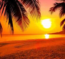 Beautiful sunset tropical beach with palm tree and pink sky for travel and vacation in holiday relax time photo
