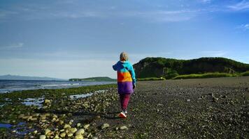 Single Traveler Enjoying Beautiful Landscape In Kamchatka Peninsula, Rear View, Slow Motion video