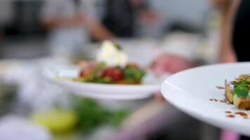 The waiter brings waffles with mint caramel and banana and salad with tomatoes to the table in a restaurant. video