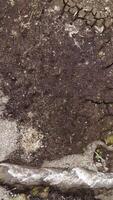 aérien Haut vue de une pliant étroit courant écoulement le long de rare croissance herbe et sol. tir. sec sol et courbure flux. video