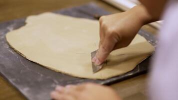 Hands Skillfully Creating Beautiful Clay Art in a Creative Workshop Setting for Learning. Stock Clip video