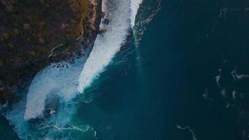 Drone view with surfing on swell waves. Perfect waves with surfers in ocean at Padang padang with evening sunlight. Top down video