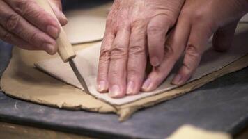 Hands Skillfully Crafting Beautiful Clay Art During a Creative and Engaging Process. Stock Clip video