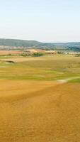 Top view of yellow fields on background of village on horizon. Shot. Beautiful landscape with agricultural yellow fields and village in distance video