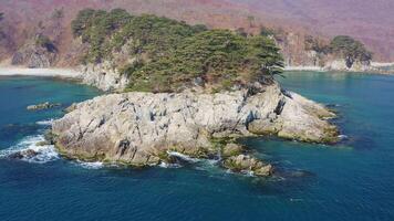 Rocky island washed by waves covered with coniferous trees in a sea bay video