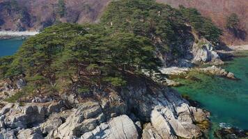 Rocky island washed by waves covered with coniferous trees in a sea bay video