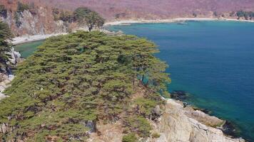 Rocky island washed by waves covered with coniferous trees in a sea bay video