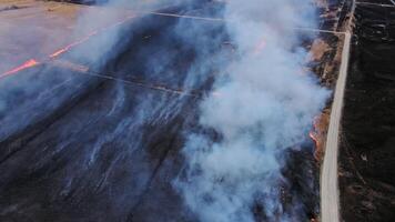 Frightening sight of burning field with dry grass, thick smoke rising from below video