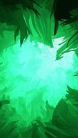 The Vibrant Green Jungle Canopy is adorned with Ethereal Light, creating a magical atmosphere video