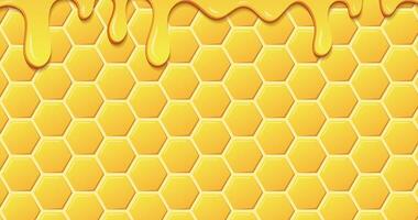 Dripping honey animation. Realistic drops of honey. Dessert background with melted honey. Dripping honey. Motion graphic. 4K animation video