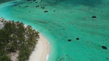 Mauritius. view from the height of the magnificent hotel and the beach with white sand. video