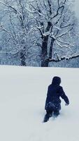 A child walks joyfully through a snowy landscape, exploring winters tranquility video