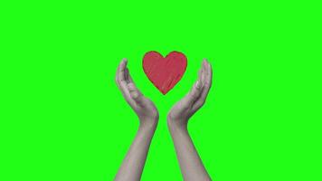 animated of hand with heart brush shape on green screen, 4K animation video