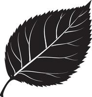 Leaf silhouette in black style vector