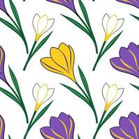 Clean Spring crocus seamless tile pattern with bright purple yellow and white blooms for fresh spring vibes concept as Bright crocus blooms in purple yellow and white create a fresh live vector