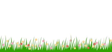 green grass lawn with flower border or meadow illustration. vector