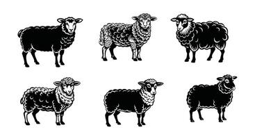 set of sheep silhouette illustration on white background vector