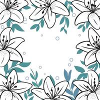 hand drawn lily flowers line art with leaves, copy space and white background vector