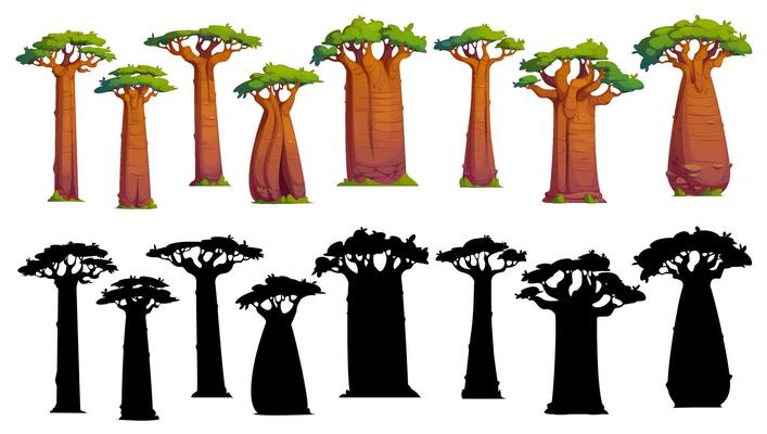 Cartoon baobab trees and adansonia silhouettes