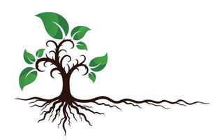 Symbol of a garden tree with roots. vector