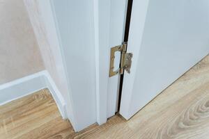 This image features a closeup view of a white door standing out against a beautifully finished wooden floor in an elegantly designed room, highlighting home interior elements photo
