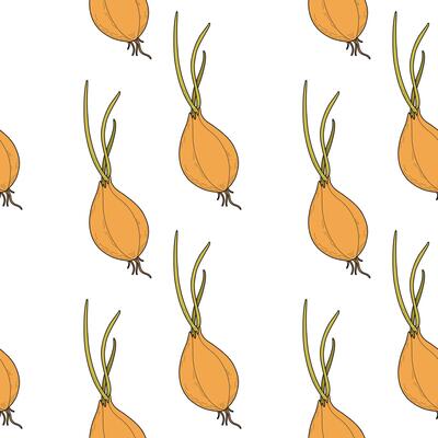 Pattern with onion on a white background. Vegetable pattern with green onions, sprouted onions with roots