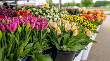 A vibrant array of colorful flowers at a bustling outdoor market, showcasing tulips, roses, and chrysanthemums in a dazzling displ photo