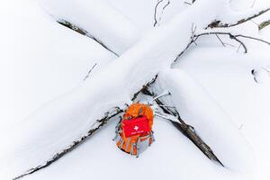 A bright red backpack is casually resting on top of a snowcovered tree branch, contrasting beautifully with the winter scene surrounding it, creating a picturesque, frosty atmosphere photo