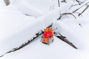 A person who is wearing a bright orange jacket is lying comfortably in the soft snow, fully enjoying the picturesque winter scenery that surrounds them during a funfilled, snowy adventure photo