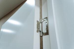 This image features a detailed closeup view of a door hinge positioned on a pristine white door, showcasing the intricate design and functionality of the household hardware photo