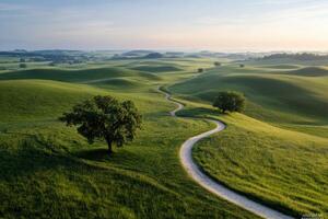A winding road runs through a lush green field. The road is surrounded by trees and grass, creating a peaceful and serene atmosphere. Concept of tranquility and harmony with nature photo