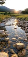 A river with a sun shining on it. The sun is in the sky photo