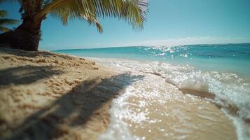 A beach with a palm tree in the background. The water is calm and the sky is clear photo