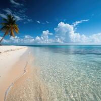 A beautiful beach with a palm tree in the foreground. The water is calm and clear, and the sky is blue with some clouds. The scene is peaceful and relaxing, perfect for a day at the beach photo