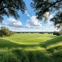 A large field of grass with a few trees in the background. The sky is blue with some clouds photo