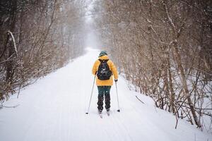 A person is skiing down a snowy path in the woods photo