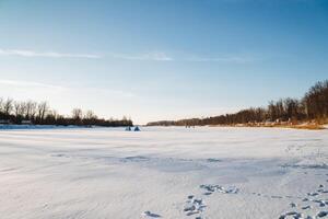 In a picturesque snowy field, there are distinct footprints imprinted in the abundant snow, while trees stand majestically in the background, creating a serene winter landscape photo