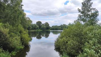 View of a beautiful lake in the forest among green trees with beautiful reflection, in summer. photo