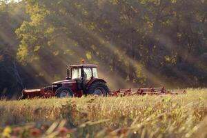 Tractor in golden field at sunrise with forest backdrop photo