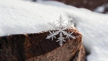 A snowflake is sitting on top of a tree stump photo