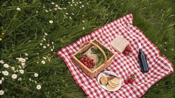 A bird's-eye view of a picnic setup in a meadow, with a red and white checkered blanket photo