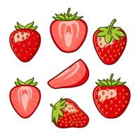 a variety of strawberry cut into shapes and arranged in different positions vector