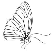 Spring and summer butterfly logo design in illustration style with clean lines and detailed wings vector