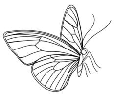 Butterfly illustration as a logo icon representing spring and summer themes in a format vector